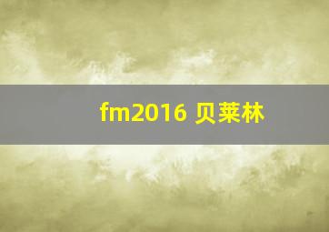 fm2016 贝莱林